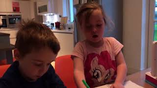 Siblings Answer Ireland's Call by Singing the Rugby Anthem