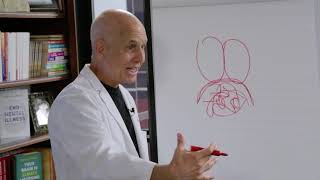 How to Break a Panic Attack in 2 Minutes | Dr. Daniel Amen and Nikki Leigh #panicattack