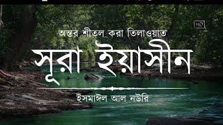 Heart Soothing Recitation of Sura Yaseen Recited by Ismail  Gyaner poth  Nafee ¦ আন নাফী