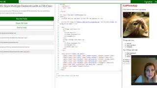 Basic CSS: Style Multiple Elements with a CSS Class