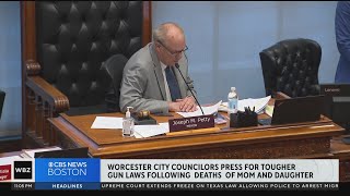 Worcester City Councilors press for tougher gun laws after deaths of mom, daughter