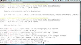 Git+SVN #5: Centralized Git-SVN mirror