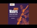 Walkin’ Blues