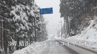 367 鯖街道からメタセコイヤ並木駐車場 / 雪の鯖街道 / 滋賀県大津市葛川 花折さん付近〜303〜161〜高島市農業公園マキノピックランド駐車場 / 250302