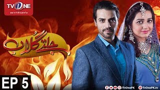 Jaltay Gulab | Episode 5 | TV One Classics | 14th November 2017