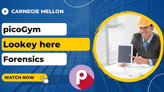 picoGym (picoCTF) Exercise: Lookey here