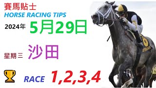 HKJC「賽馬貼士」🐴 2024  年 5  月 29  日 沙田 🐴 香港賽馬貼士 HONG KONG HORSE RACING TIPS 🐴 RACE  1  2  3  4