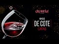 Cata Bodegas De Cote - 6 de julio 2023 | City Market