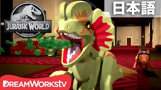 レゴ ジュラシックワールド 恐竜 全紹介 18 ティラノサウルス他 説明 0 25 Lego Jurassic World All Dinosaurs
