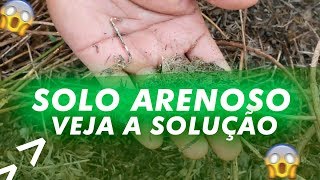 Solo de Areia tem solução ?