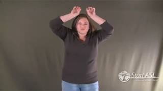 ASL 2 Unit 5 - Classifiers in Action