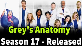 How to watch Grey's Anatomy season 17 online: Release date, cast, trailer and more