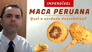 😱 Maca Peruana! Qual a verdade descoberta?  IMPERDÍVEL.