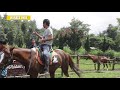 Der Ranch Lembang - Wisata Ala Koboy di Bandung