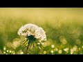 Natural Humming Background Nasheed + 💧Raining Sounds💧