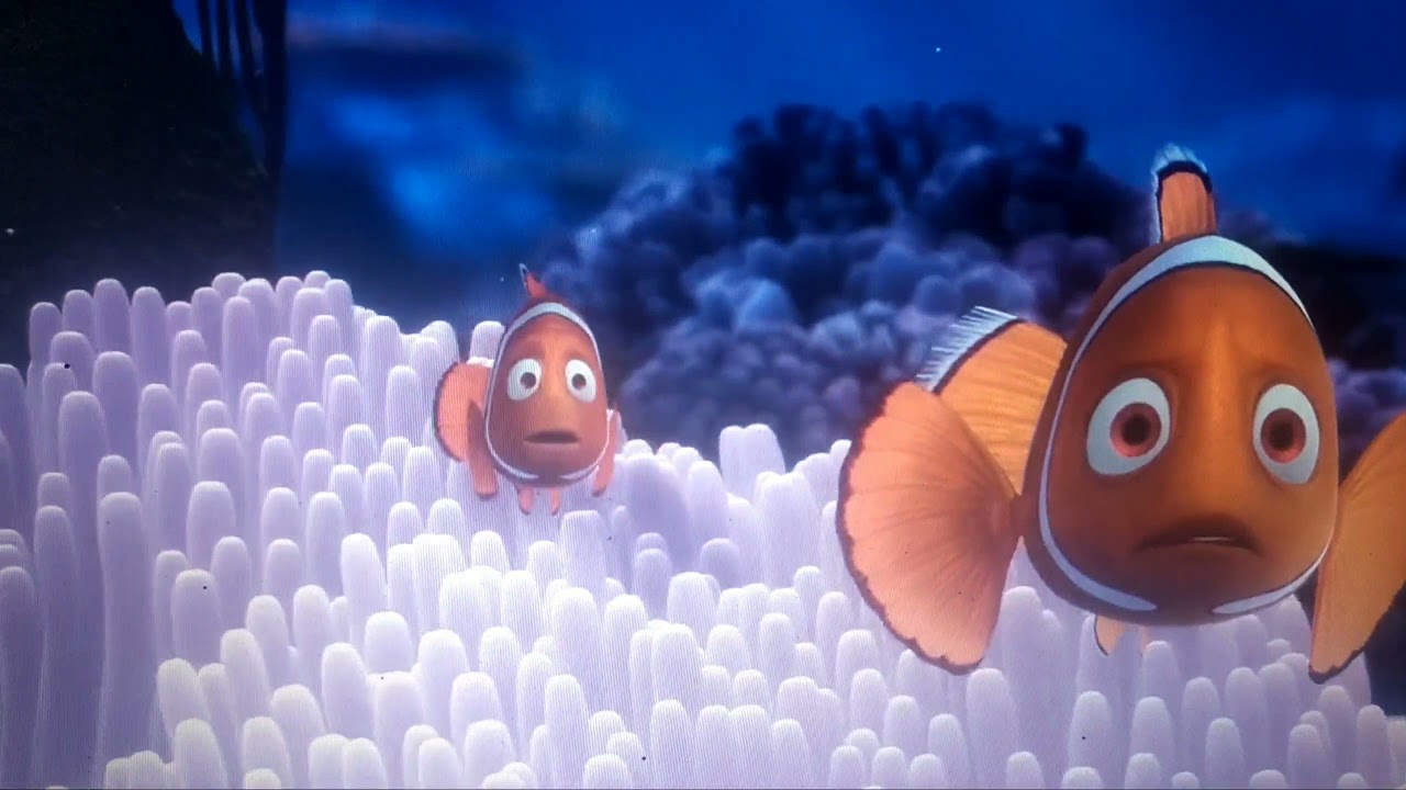 Kartun Ikan Nemo Bahasa Indonesia Hannah Black