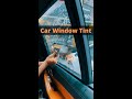 Car Window Tint Application at Best Car Detailing Studio - H2O Carzspa Ahmedabad 🛡️ #ytshorts