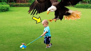 Eagle Suddenly Snatches This Little Boy, But The Reason Behind It Surprised Everyone!