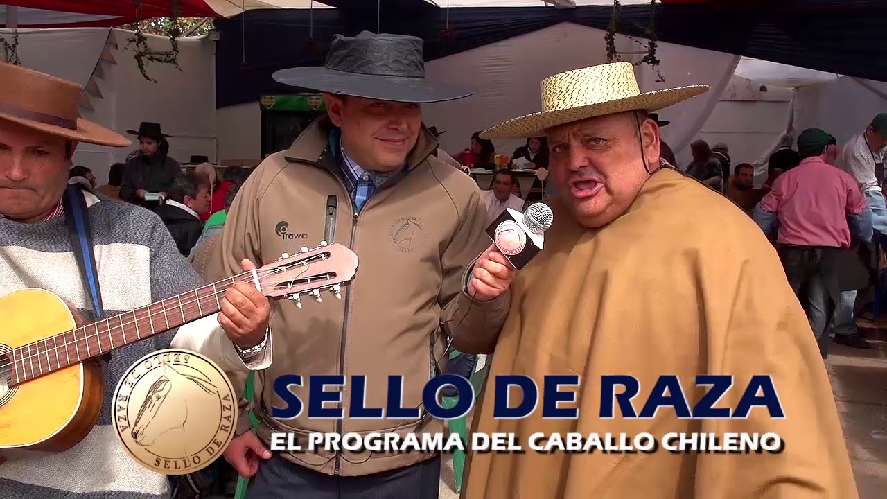 Payadores Chilenos Youtube