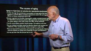 2.8 - What is a patient? Aging