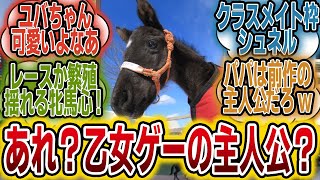 「ユーバーレーベン乙女ゲーの主人公説www」に対するみんなの反応【競馬の反応集】