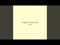 Fragile Tranquil Echo