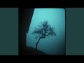 Shadows Inside