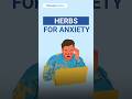 3 Best Herbs for Anxiety | Herbs and Anxiety