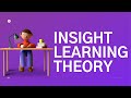 Insight Learning Theory