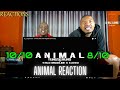 @yungseruno  - animal (feat Stilo Magolide & K.Keed)-REACTION