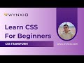CSS Transform