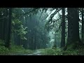 Relaxing Music with Rain Forest Sounds for Deep Sleep  Stress Relief  Meditation or Study
