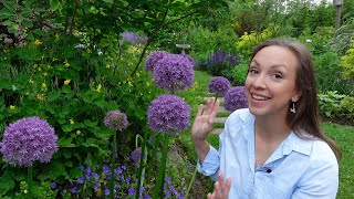 How to Plant Allium Bulbs + Best Allium Varieties for Your Garden!! // Northlawn Flower Farm