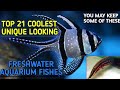 Top Unique And Uncommon Looking Freshwater Fishes.(Aquatic World Pets & Info.)