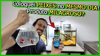 Coloquei Vários PEIXES no Mesmo DIA da Montagem do Aquário! Deu Ruim? - Microbelift