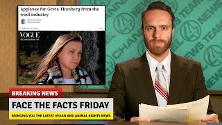Greta Thunberg Vegan Promotes Wool? Face The Facts Friday