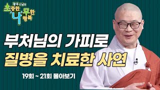 부처님의 가피로 질병을 치료한 사연 [광우스님 소나무 3편 몰아보기]