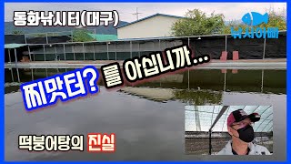 Donghwa Fishing Ground (Daegu) 4M deep rice cake bungeotang! - Fishing Dad