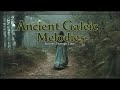 Celtic Ancient Echoes | Irish Female Chanting, Harp & Spiritual Relaxation Music
