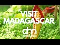 Visit Madagascar