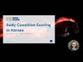 Body Condition Scoring in Horses - Mad Barn - Vet Talk