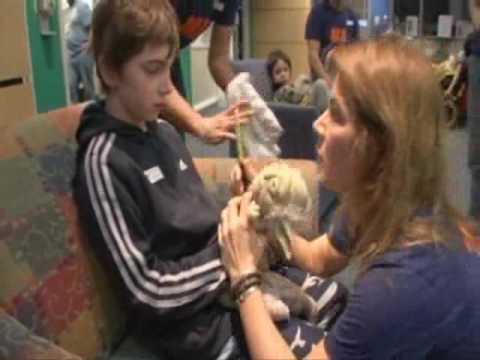 Nightline Interview Hypothalamic Hamartomas Youtube