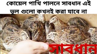 কোয়েল পাখি পালনে এই ভুল গুলো কখনই করা যাবে না❌koel pakhi palone jei vul gulo kora eke barei jabena❌