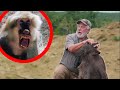 4 African Hunts | Baboon, Blue WIldebeest, Red Hartebeest, Nyala