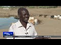 Pastoralists communities struggle to feed their herds.