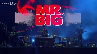 Mr. Big - WILD WORLD - July 16, 2023At 