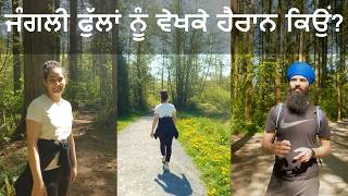 ਕੈਂਪਬੈਲ ਵੈਲੀ : ਜੰਗਲੀ ਫੁੱਲਾਂ ਦੇ ਜਾਦੂ ਨੇ ਹੈਰਾਨ ਕਰ ਦਿਤਾ!
