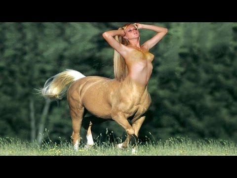 55 Terrifying Mythological Creatures Half Man Horse Called 11 Hybrid Creatures From Legends