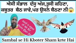 ਕਬੂਤਰ ਤੋਂ 45° ਚ ਸ਼ਾਮ ਕਰਵੋਣ ਲਈ ਕਿਵੇ ਸਾਂਭੀਏ ? Achi sambal Hi Sham Tak Ki Parvaz Karvati Hai ||👌