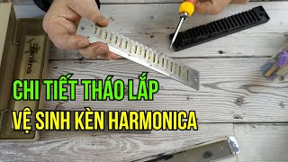 Chém Gió Harmonica | Chi Tiết Cách Mình Tháo Lắp Và Vệ Sinh Kèn Harmonica Tremolo